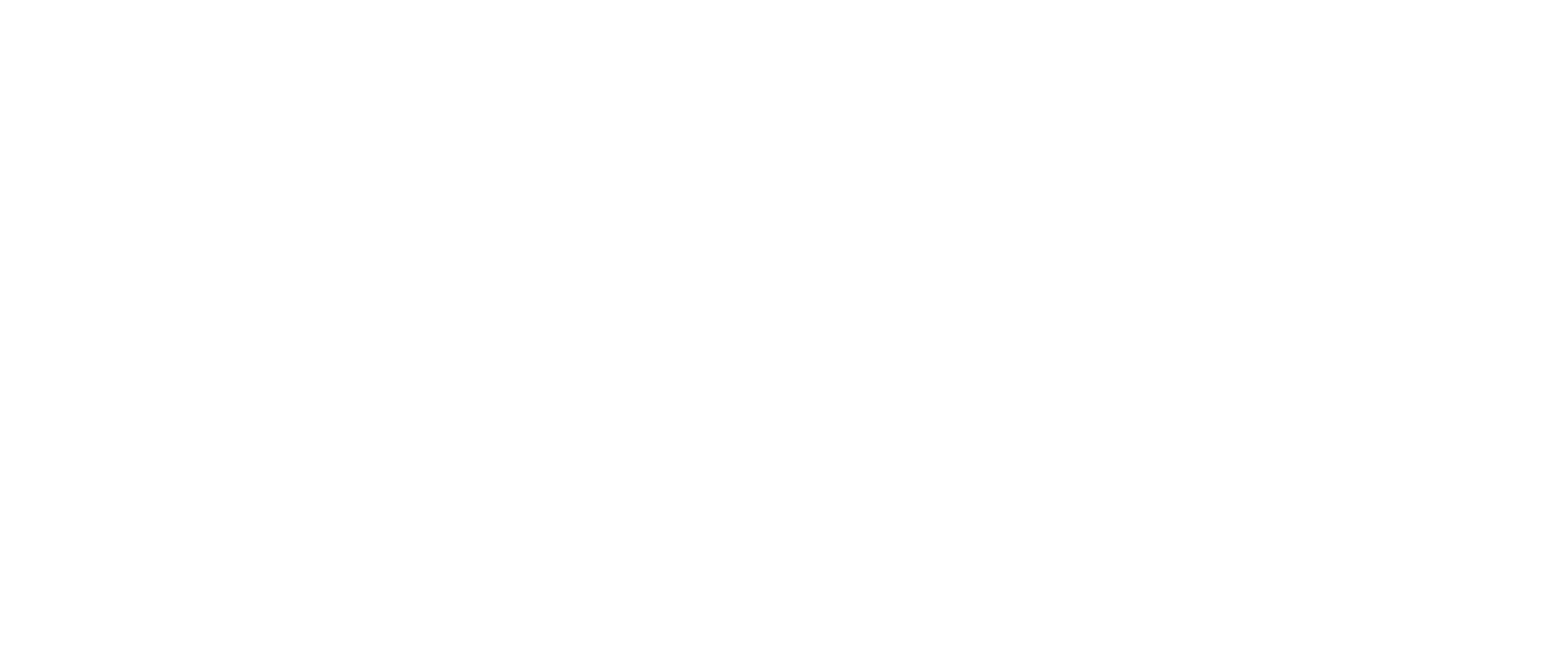KK8-logo (white)